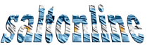 Saltonline