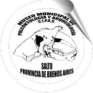 Logo CIPAS