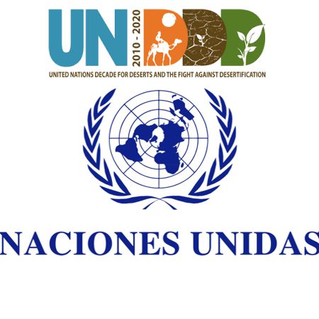 Decenio sobre la lucha contra la desertificación